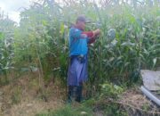 Polri Dukung Ketahanan Pangan di Desa Beleka Lombok Barat