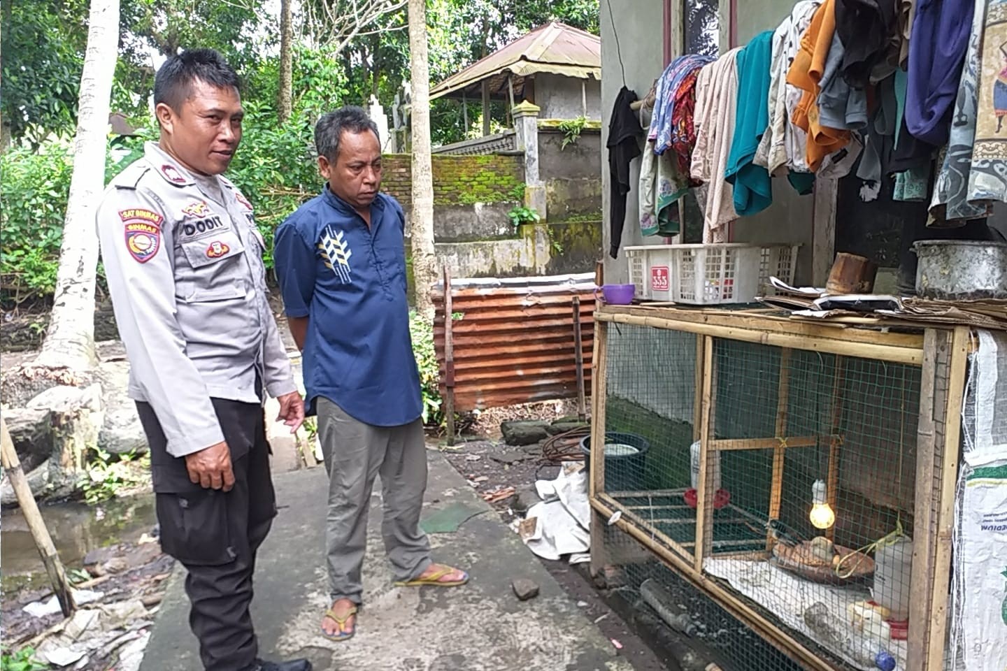 Pekarangan Jadi Lumbung: Inovasi Pangan di Desa Jagaraga