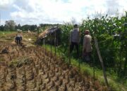 Polisi Dorong Ketahanan Pangan Desa Melalui Lahan Produktif