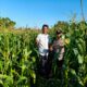 Bhabinkamtibmas Mareje Timur Dampingi Petani Jagung Tingkatkan Hasil Panen
