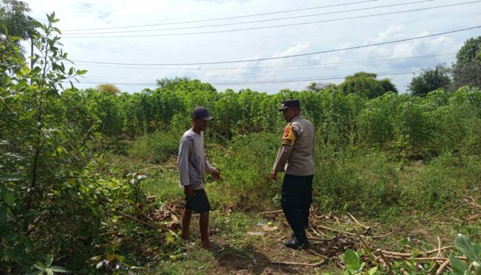 Bhabinkamtibmas Sekotong Barat Dukung Ketahanan Pangan Warga