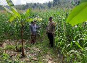 Bhabinkamtibmas Sekotong Timur Dampingi Petani Dukung Ketahanan Pangan