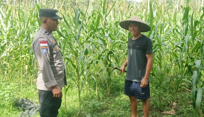Polres Lombok Barat Dukung Ketahanan Pangan Lewat Pendampingan Warga