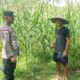 Bhabinkamtibmas Taman Baru Giat Dorong Pemanfaatan Lahan Kosong