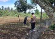 Peran Bhabinkamtibmas Dukung Ketahanan Pangan di Lombok Barat