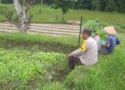 Polri Dorong Ketahanan Pangan di Desa Montong Are