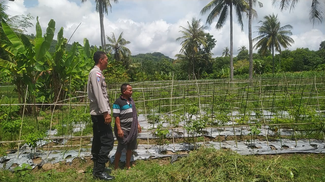 Dukung Ketahanan Pangan, Polri Aktif di Desa Batu Putih