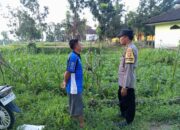 Bhabinkamtibmas Kuripan Dorong Ketahanan Pangan Lewat Pemanfaatan Lahan
