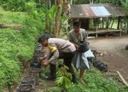 Batulayar Galakkan Pekarangan Bergizi, Polri Aktif Dukung Ketahanan Pangan