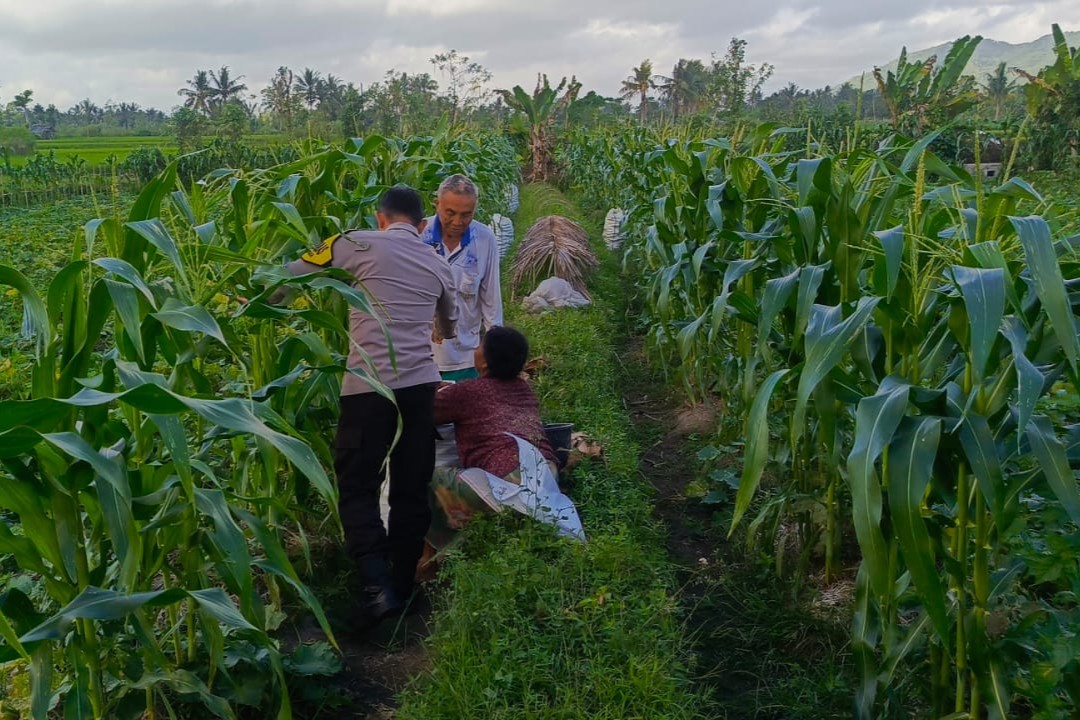 Motivasi Petani Kuripan, Polri Dorong Ketahanan Pangan dari Tingkat Desa