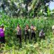 Dukung Ketahanan Pangan, Polri Hadir dalam Panen Raya Jagung NTB