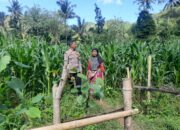 Bhabinkamtibmas Dukung Ketahanan Pangan di Sekotong Timur