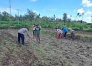 Polri Dorong Swasembada Pangan di Lombok Barat