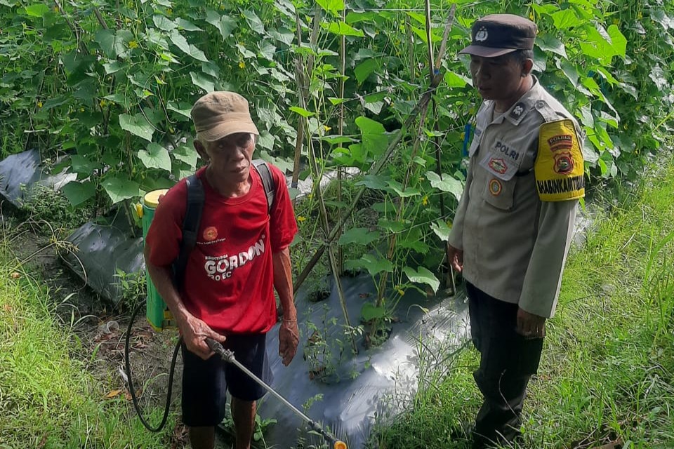 Peran Polri di Montong Are dalam Ketahanan Pangan Nasional