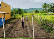 Polsek Kediri Dampingi Petani Desa Dasan Baru Jaga Ketahanan Pangan
