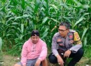 Sinergi Polisi dan Petani di Lembar Perkuat Pangan Nasional