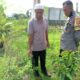 Polri Dorong Ketahanan Pangan di Desa Kuripan
