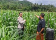 Polri Dampingi Petani Sekotong, Perkuat Ketahanan Pangan