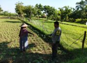 Bhabinkamtibmas Desa Jembatan Gantung Dorong Ketahanan Pangan Warga
