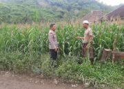 Polsek Lembar Dukung Ketahanan Pangan di Dusun Jelateng Sedenggang