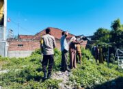 Bhabinkamtibmas Rumak Dorong Petani Diversifikasi Tanaman