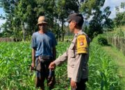 Bhabinkamtibmas Dasan Geres Dukung Ketahanan Pangan Lewat Kunjungan ke Petani