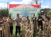 Polres Bima Kota Gelar Panen Raya Jagung Serentak Tahap Dua di Kelurahan Oimbo