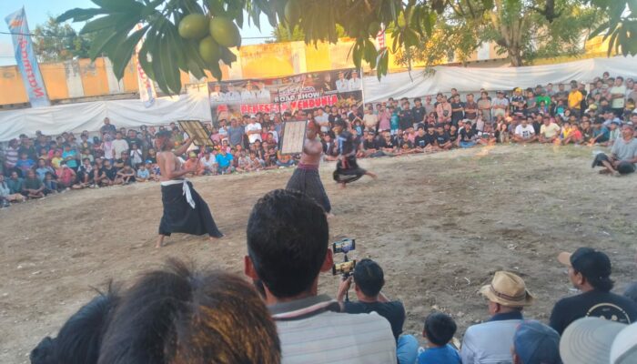 Festival Peresean Mendunia, Warisan Budaya Lombok yang Kian Mendunia