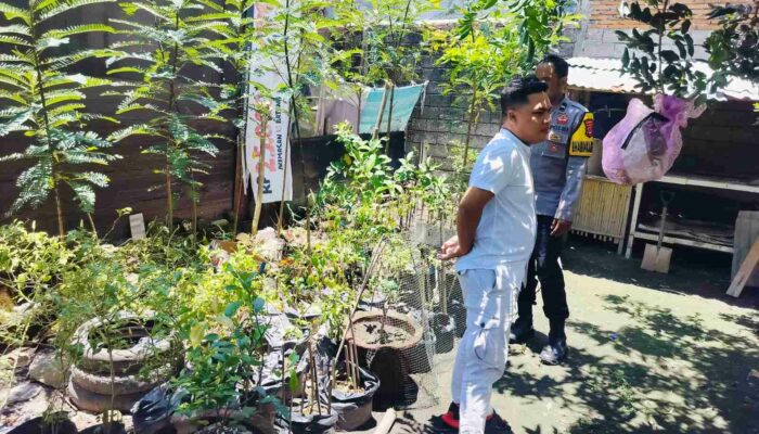 Polisi Ajak Warga Bajur Tanam Sayur Demi Ketahanan Pangan