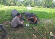 Polres Lombok Barat Dukung Petani Wujudkan Ketahanan Pangan di Lembar