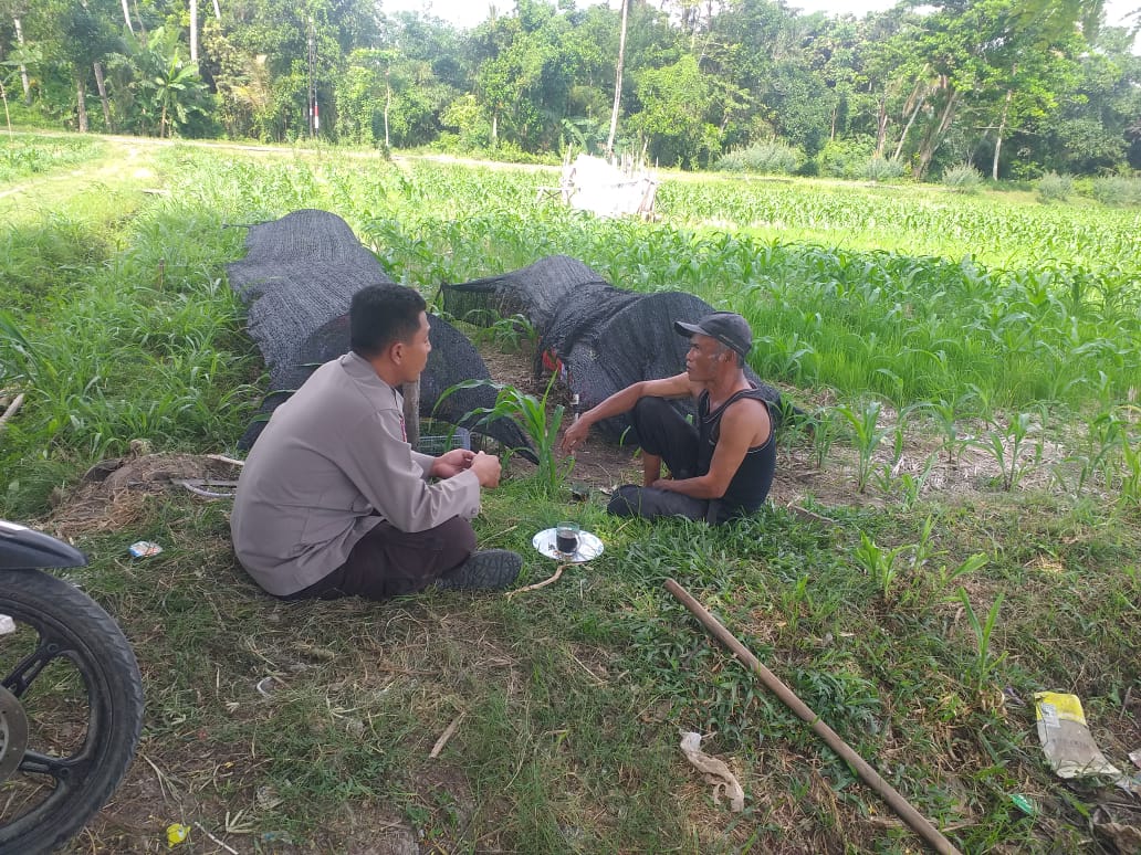 Polres Lombok Barat Dukung Petani Wujudkan Ketahanan Pangan di Lembar
