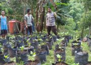 Ketahanan Pangan Dimulai dari Pekarangan: Polsek Batulayar Dampingi Warga