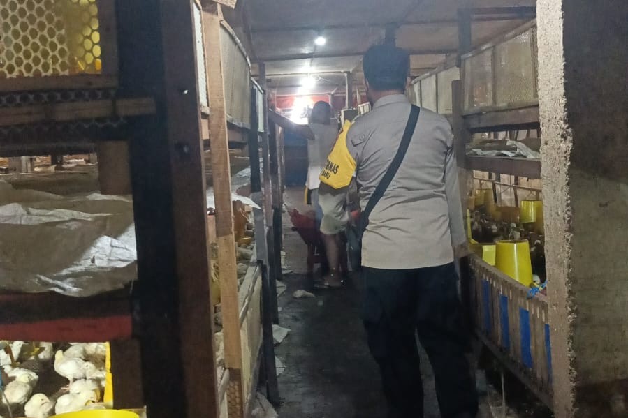 Bhabinkamtibmas Ombe Baru Dorong Ketahanan Pangan Lewat Kunjungan ke Peternak Ayam