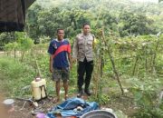 Bhabinkamtibmas Babussalam Dorong Warga Tanam Sayur untuk Ketahanan Pangan
