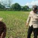 Polsek Gerung Perkuat Ketahanan Pangan Lewat Pendampingan Petani di Babussalam