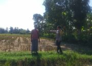 Polri Dorong Ketahanan Pangan dari Pekarangan di Desa Jagaraga, Lombok Barat