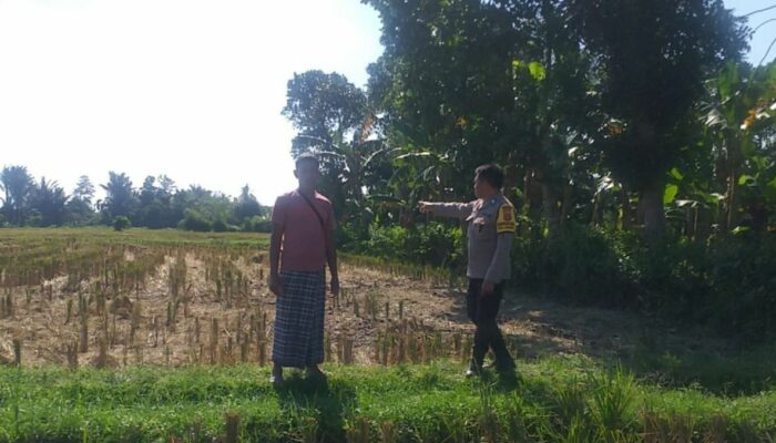 Polri Dorong Ketahanan Pangan dari Pekarangan di Desa Jagaraga, Lombok Barat