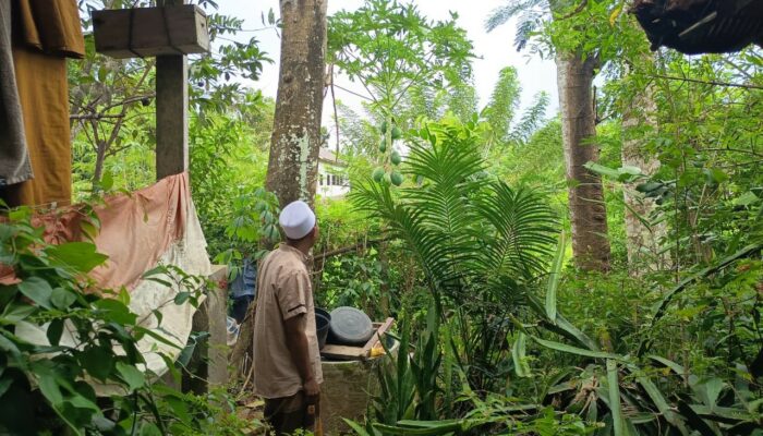 Bhabinkamtibmas Desa Kedaro Dorong Ketahanan Pangan Lewat DDS di Sekotong