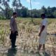 Polri dan Warga Kuripan Bangun Ketahanan Pangan dari Rumah