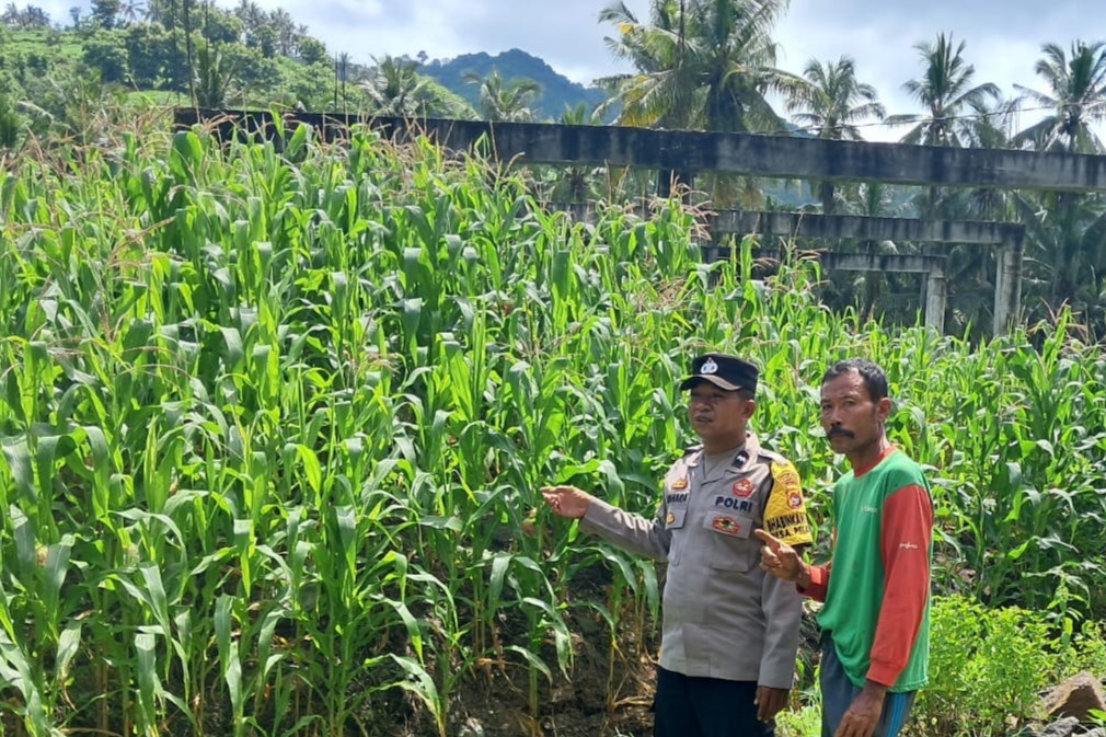 Bhabinkamtibmas Sekotong Dorong Pemanfaatan Pekarangan untuk Ketahanan Pangan
