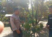 Gotong Royong Warga Dusun Begende Dukung Ketahanan Pangan Nasional