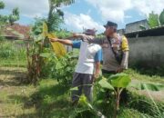 Dusun Dawung Gerakkan Swasembada Pangan dari Pekarangan Rumah