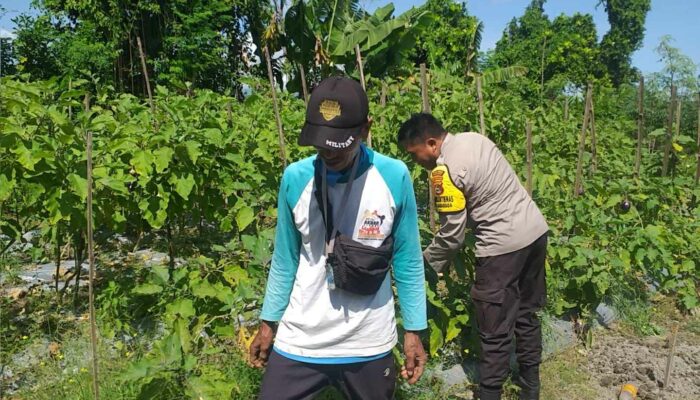 Polsek Kuripan Dorong Ketahanan Pangan di Desa Jagaraga