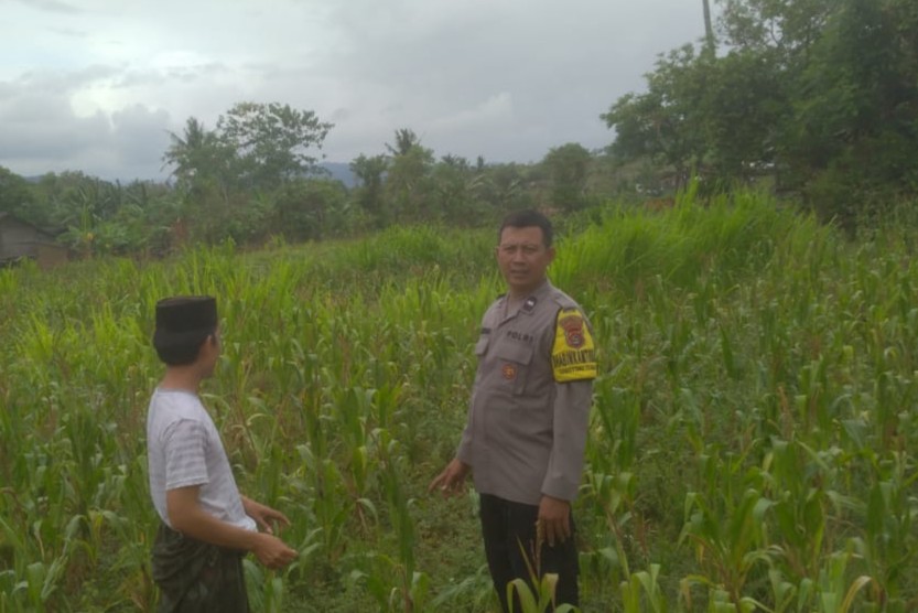 Ketahanan Pangan dan Keamanan Diperkuat di Sekotong Tengah Lewat DDS Bhabinkamtibmas