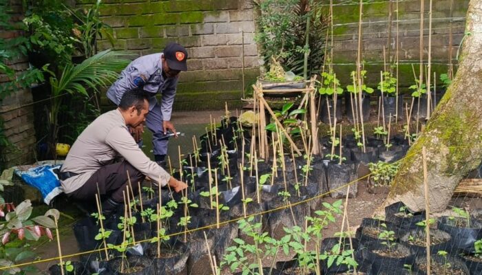 Polres Lobar Intensifkan Patroli Blue Light di Bypass BIL II