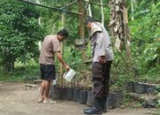 Bhabinkamtibmas Batulayar Dorong Kemandirian Pangan Lewat Pekarangan Bergizi