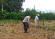 Bhabinkamtibmas Kuripan Dorong Pemanfaatan Pekarangan untuk Ketahanan Pangan