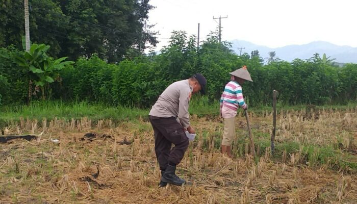 Bhabinkamtibmas Kuripan Dorong Pemanfaatan Pekarangan untuk Ketahanan Pangan