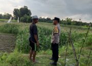 Polri Dorong Pemanfaatan Lahan Pekarangan di Kuripan Utara