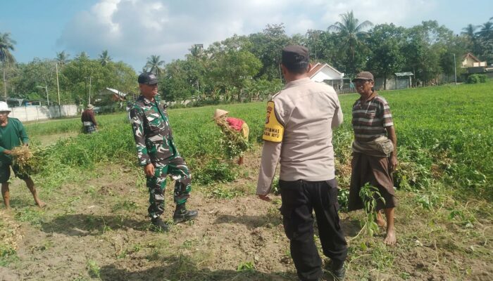 Sinergi Polisi dan Petani Gerung Dorong Kemandirian Pangan di Taman Ayu